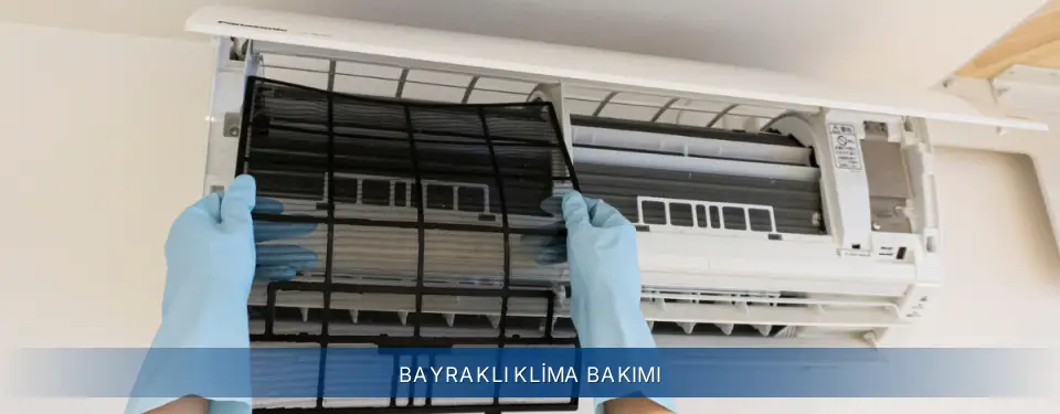 Bayraklı İlçemi Electrolux Klima Bakımı