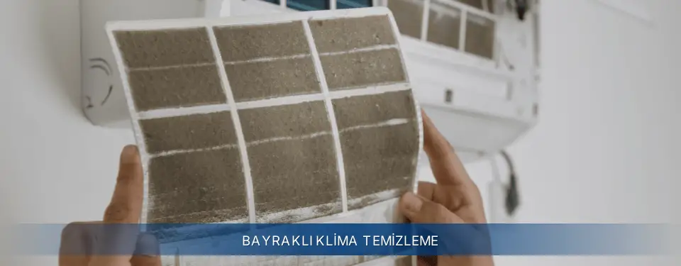 Bayraklı İlçemi Electrolux Klima Temizleme